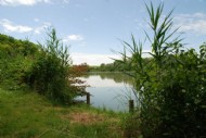 Fischteiche